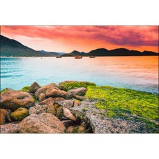 UVDS 주방아트보드 세상은 다채롭다, 1개 주방용품/주방잡화 반품 최저가 52,300원