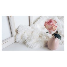 유브이디에스 아트보드 외로운 장미꽃 한송이, 1개 주방용품/주방잡화 반품 최저가 28,600원