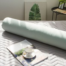 더스케치 알러지케어 고밀도 바이오 워싱 원형바디필로우 커버, 민트 홈인테리어/침구 반품 최저가 18,000원