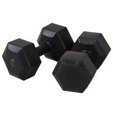 이고진 블랙육각 덤벨, 6kg, 2개 헬스/건강식품/헬스/요가용품 반품 최저가 16,050원