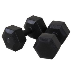 이고진 블랙육각 덤벨 아령, 3kg, 2개 헬스/건강식품/헬스/요가용품 반품 최저가 9,190원