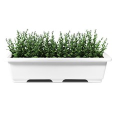 화분월드 직사각 텃밭상자 베이직 3호 화분, 순수 화이트, 1개 홈인테리어/원예/가드닝 반품 최저가 8,310원