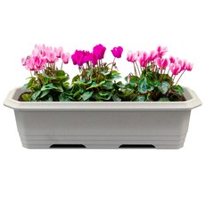 화분월드 직사각 대형 클래식 660 화분, 러브그레이, 1개 홈인테리어/원예/가드닝 반품 최저가 9,830원