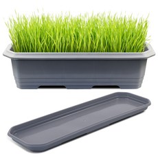 화분월드 클래식 660 화분 받침세트, 다크그레이, 1세트 홈인테리어/원예/가드닝 반품 최저가 8,870원