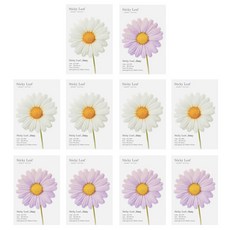 어프리 스티키리프 데이지 베이직 점착메모지 2종 세트 S, White + Purple, 5세트 문구/오피스/학용품/수업준비 반품 최저가 9,840원