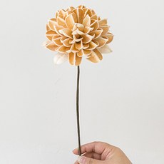 가팡 드라이플라워 03번, 혼합색상 홈인테리어/드라이플라워 반품 최저가 7,120원