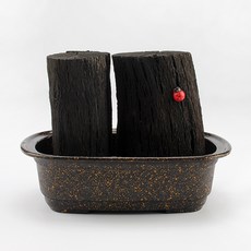 행복한세상 참숯1kg + 사각수반 화분 블랙, 1개 홈인테리어/원예/가드닝 반품 최저가 13,470원