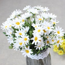 블랙앤화이트 인테리어 디자인 조화 데이지부쉬, 화이트, 1개 홈인테리어/홈데코/디퓨저 반품 최저가 3,760원