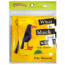 Pictory Set IT-20: What is Black and White? (with Audio CD ), 투판즈 출산/유아동/유아동도서 반품 최저가 10,680원
