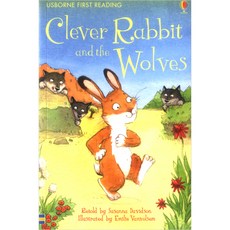 Clever Rabbit and the Wolves, Usborne 출산/유아동/유아동도서 반품 최저가 4,543원