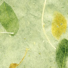 한지로 한지 잎새 636 x 939 mm, 04 연녹색, 25개입 문구/오피스/미술/화방용품 반품 최저가 25,200원