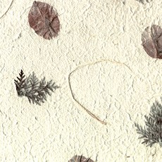 한지로 한지 꽃잎지 560 x 780 mm, 04, 25개입 문구/오피스/미술/화방용품 반품 최저가 25,200원