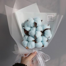 모리앤 미비포유 목화꽃다발, 스무디스카이 홈인테리어/홈데코/디퓨저 반품 최저가 6,770원