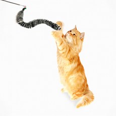 힐링타임 점프 3단 고양이낚시대 인조밍크 꼬리 NH-0168, 랜덤 발송, 1개 반려동물용품/고양이 용품 반품 최저가 4,950원
