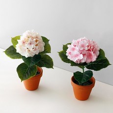 블루밍앤미 조화 수국 프렌치 블랙 포트, 화이트, 1개 홈인테리어/홈데코/디퓨저 반품 최저가 6,160원