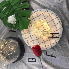 본진 트윙클 전구 50p 리모콘 건전지형, 웜화이트 undefined/undefined 반품 최저가 4,310원