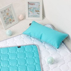 와이즈마마 유아용 순면 편백메밀베개 20 x 40 cm, 민트, 1개 출산/유아동/출산준비물/선물 반품 최저가 15,750원