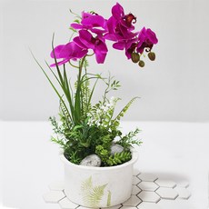 도시정원 조화 리얼호접란소품, 혼합 색상, 1개 홈인테리어/홈데코/디퓨저 반품 최저가 51,250원