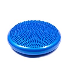 퓨어바디 재활운동에 좋은 프리미엄 벨런스쿠션, 블루 스포츠/레저/헬스/요가/댄스 반품 최저가 7,290원