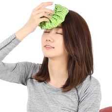 019 냉온 찜질주머니 15cm, 1개 생활용품/생활잡화 반품 최저가 8,540원