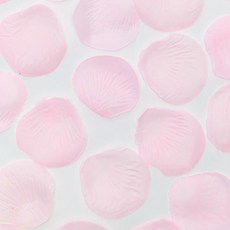 조이파티 웨딩 플라워샤워 꽃잎, 핑크, 5개 문구/오피스/파티/이벤트 반품 최저가 7,300원