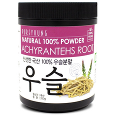 퓨어영 우슬 분말 가루 쇠무릎뿌리, 1개, 350g 식품/채소 반품 최저가 15,500원