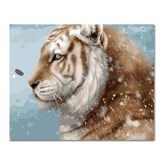 아디코 DIY 페인팅 일러스트 명화그리기 50 x 40 cm, 눈맞는 대호(PEE12), 1개 문구/오피스/미술/화방용품 반품 최저가 8,800원