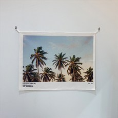 디어트리 패브릭포스터, 71 하늘야자 홈인테리어/홈데코/디퓨저 반품 최저가 6,970원