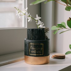 아스파시아 동양란꽃 핀 숯화분 블랙, 1개 홈인테리어/원예/가드닝 반품 최저가 16,900원