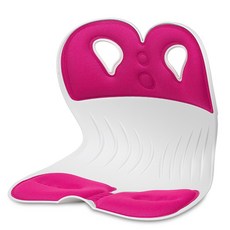 체어클럽 서포트백 자세교정의자, 핑크 문구/오피스/사무용품 전문관 반품 최저가 12,360원