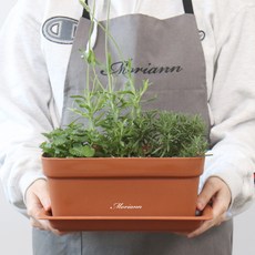 모리앤 초화박스 4p + 화분 받침 4p, 라이트브라운, 1개 홈인테리어/원예/가드닝 반품 최저가 18,750원