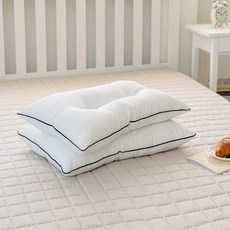 더자리 나노케어 안티브릭 다운필 경추 베개솜, 화이트, 2개 홈인테리어/침구 반품 최저가 14,740원