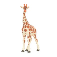 270629 기린 Giraffe, 5x12.5x17.8cm, 1개 완구/취미/피규어/다이캐스트 반품 최저가 4,510원