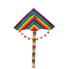 YN 레인보우001 연날리기세트, 1세트 완구_취미/스포츠/야외완구 반품 최저가 13,680원