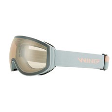 WING 여성 스키 보드 고글 더블렌즈 안경병용 야간, 그레이 + 실버, 1개 스포츠/레저/스키/겨울스포츠 반품 최저가 23,740원