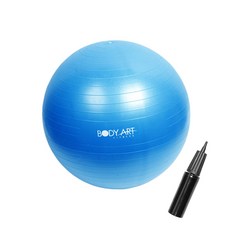 바디아트 안티버스트 짐볼 + 짐볼펌프, 블루 스포츠_레저/홈트레이닝 반품 최저가 6,670원