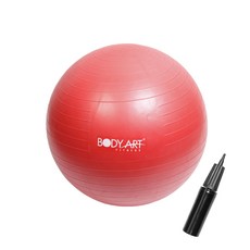 바디아트 안티버스트 짐볼 + 짐볼펌프, 레드 스포츠_레저/홈트레이닝 반품 최저가 10,260원