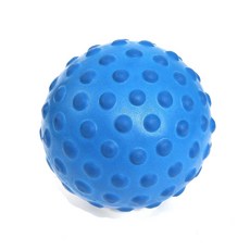 바디아트 미니 마사지 짐볼, 1) 블루 스포츠/레저/홈트레이닝 반품 최저가 5,500원