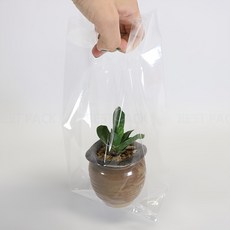 베스트팩 PP 비닐 쇼핑백 소 26호, 투명, 50개 홈인테리어/캔들/캔들홀더 반품 최저가 5,760원