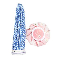 ETN 패턴 얼음주머니 대 토끼핑크 + 체크블루, 1세트 생활용품/생활잡화 반품 최저가 1,770원