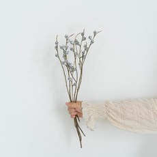 가팡 드라이플라워 01번 DRYB08501, 딥블루 홈인테리어/드라이플라워 반품 최저가 9,100원