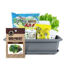 월드가드닝 텃밭가꾸기세트 + 식물 이름표 랜덤발송, 10종 쌈채소 홈인테리어/원예/가드닝 반품 최저가 17,700원