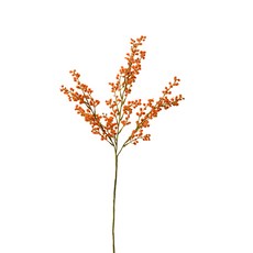 가팡 드라이플라워 DRYE170, 03번(오렌지) 홈인테리어/드라이플라워 반품 최저가 17,980원