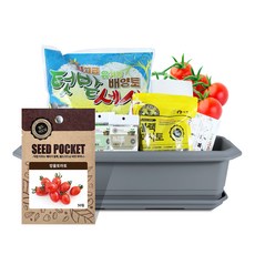 월드가드닝 채소 텃밭가꾸기세트 + 식물 이름표 랜덤발송, 방울토마토 홈인테리어/원예/가드닝 반품 최저가 16,370원