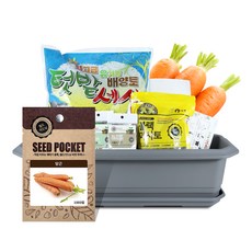 월드가드닝 텃밭가꾸기세트 + 식물 이름표 랜덤발송, 당근 홈인테리어/원예/가드닝 반품 최저가 16,370원