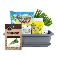 월드가드닝 텃밭가꾸기세트 + 식물 이름표 랜덤발송, 대파 홈인테리어/원예/가드닝 반품 최저가 20,800원