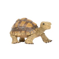 사파리엘티디 258629 거북이 Tortoise 피규어, 1개 완구/취미/피규어/다이캐스트 반품 최저가 8,660원