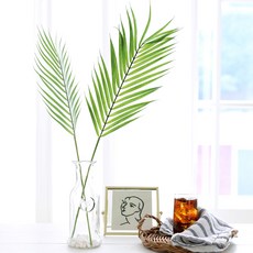 행복한마을 조화 2p + 유리병 + 조약돌, 아레카야자, 1세트 홈인테리어/홈데코/디퓨저 반품 최저가 10,830원