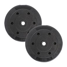 아리프 플렉스 원판, 5kg, 2개 헬스/건강식품/헬스/요가용품 반품 최저가 15,200원