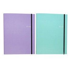 핑크풋 6000 텐더 미니 바인더 노트 2종 세트, 퍼플, 민트, 1세트 문구/오피스/다이어리/플래너 반품 최저가 6,800원